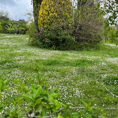 22-04-25 14-24-29 0644